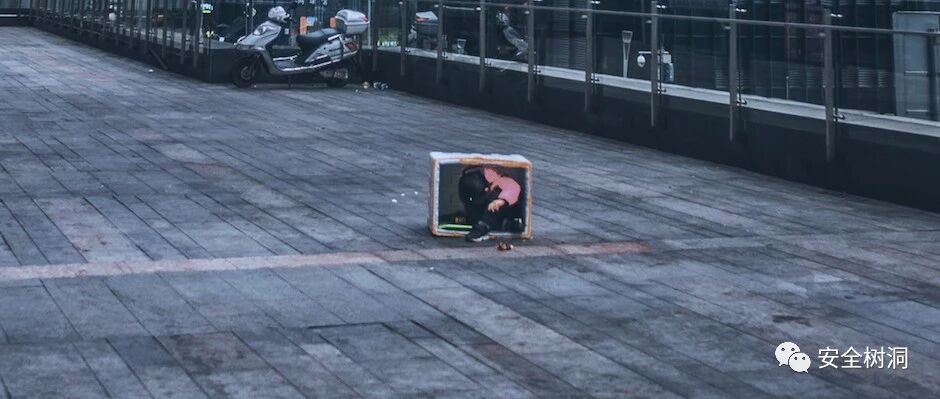 安全树洞