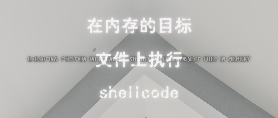在内存的目标文件上执行shellcode