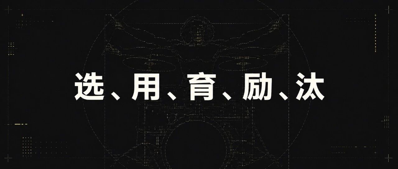 少有的深度参与过字节、美团组织建设的人｜42章经