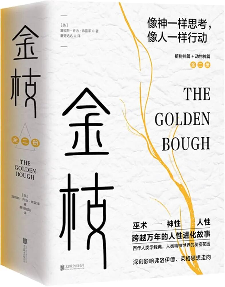 Amazon.co.jp: 金枝：跨越万年的人性进化故事 : Japanese Books