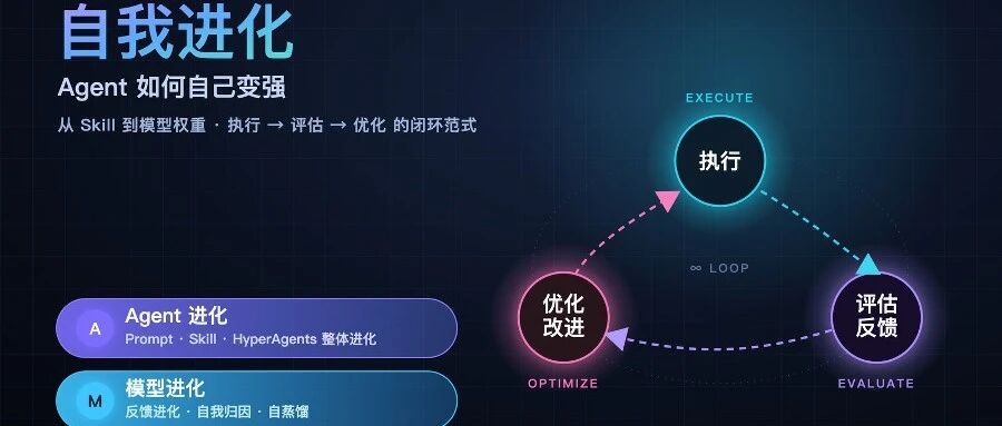 Agent如何自己变强？从Skill到模型权重的进化全景图